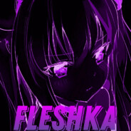 FleShkA30GB