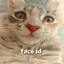 Ｉ ＬＯＶＥ ＢＯＴ