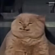 B I G F R U I T