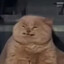 B I G F R U I T