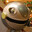 Bigweld From Robots (2005)'s Avatar
