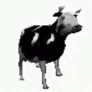 S4ppa - steam id 76561199030270255