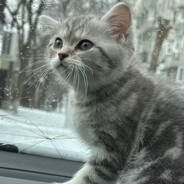 Максим +ВАЙБ