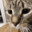 [TPG] NapalmBait
