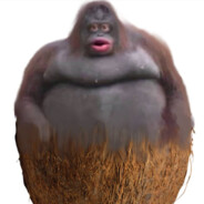 orangutan skins.army