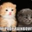 Rainbow Kittens