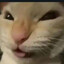 LlurK