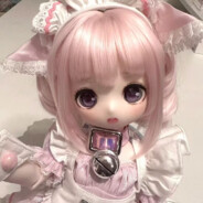 猫猫没有坏情绪