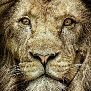 笑不露齿大白牙