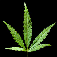 JePaBre - steam id 76561197971716947