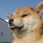 wz