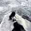 Ame)