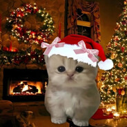 Культурная Соль