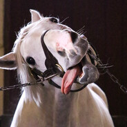 100年后你有空吗