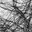 sadanek-