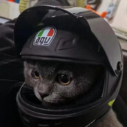 拿不动刀了还是你飘了