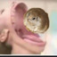 The_Snowy_Gerbil