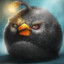 Black Angry Bird