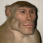 action man