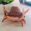 crab ;)