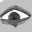 Noize