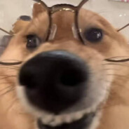 18cm牛牛网恋被录屏