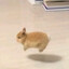 Sㅏ
