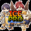 iceprogc