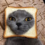 котик)