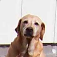 poteus - steam id 76561197961017692