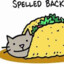 tacocat.person