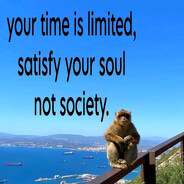 bebezyan