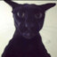 Larry's avatar