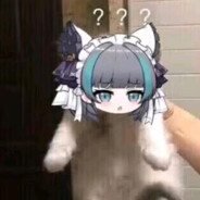 学校的沃柑比我甜