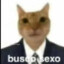 BUSCO SEXO