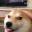 林北