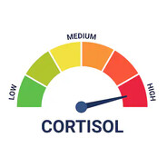 high cortisol gaming
