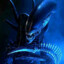 Xenomorph's avatar