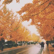 春田悠悠小卖部