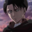 Levi