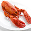 Claustrophobic Lobster
