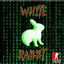 White Rabbτ