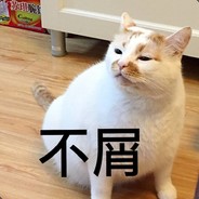 薄情少妇林品如