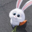 bunny