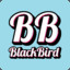BlackBird/PT | skinhub.com