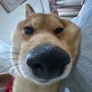 耳朵好痒，要生耳屎了