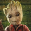 Groot