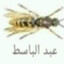 عبد الباسط