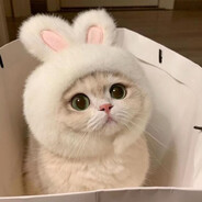 нюша