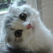 Big Avatar